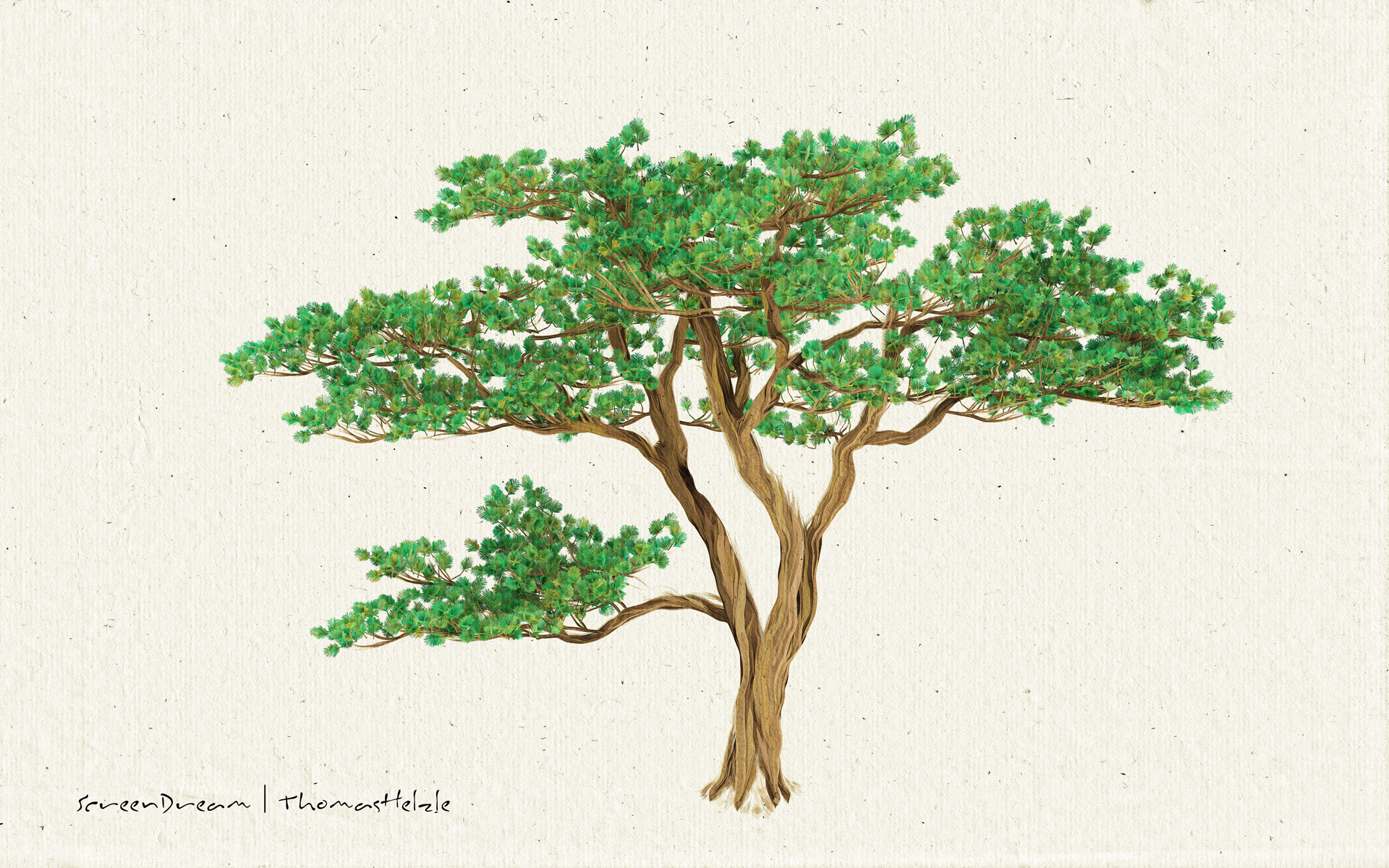 Stilisierter generativer Baum in Houdini und Redshift